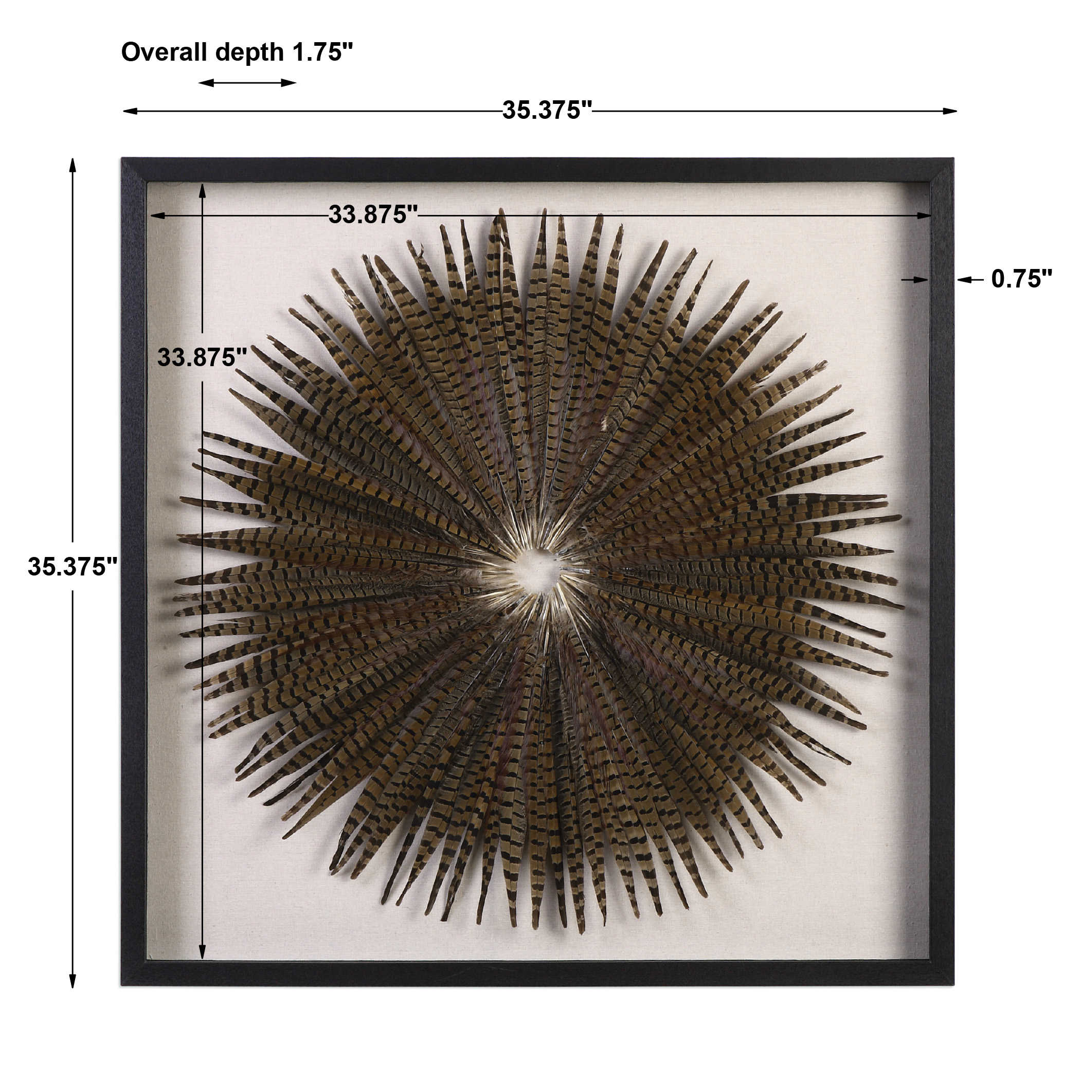 Feather Burst Shadow Box by Uttermost