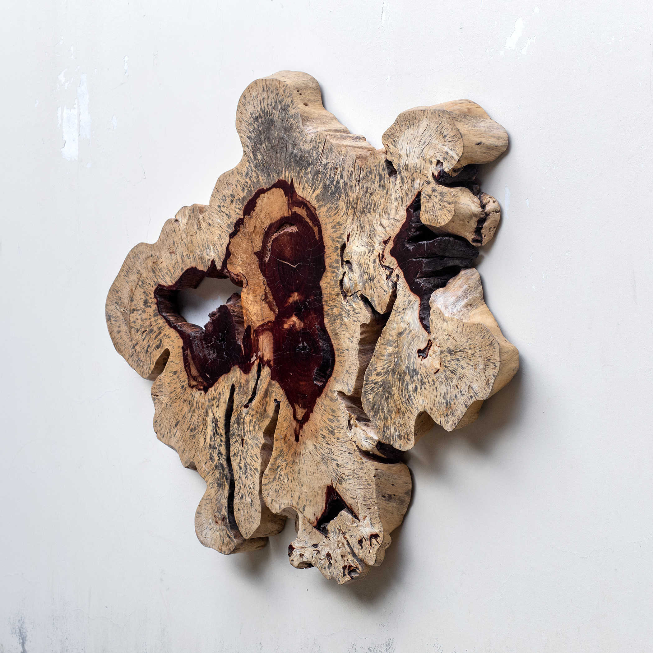 Geller Wood Wall Decor in Blonde by Uttermost