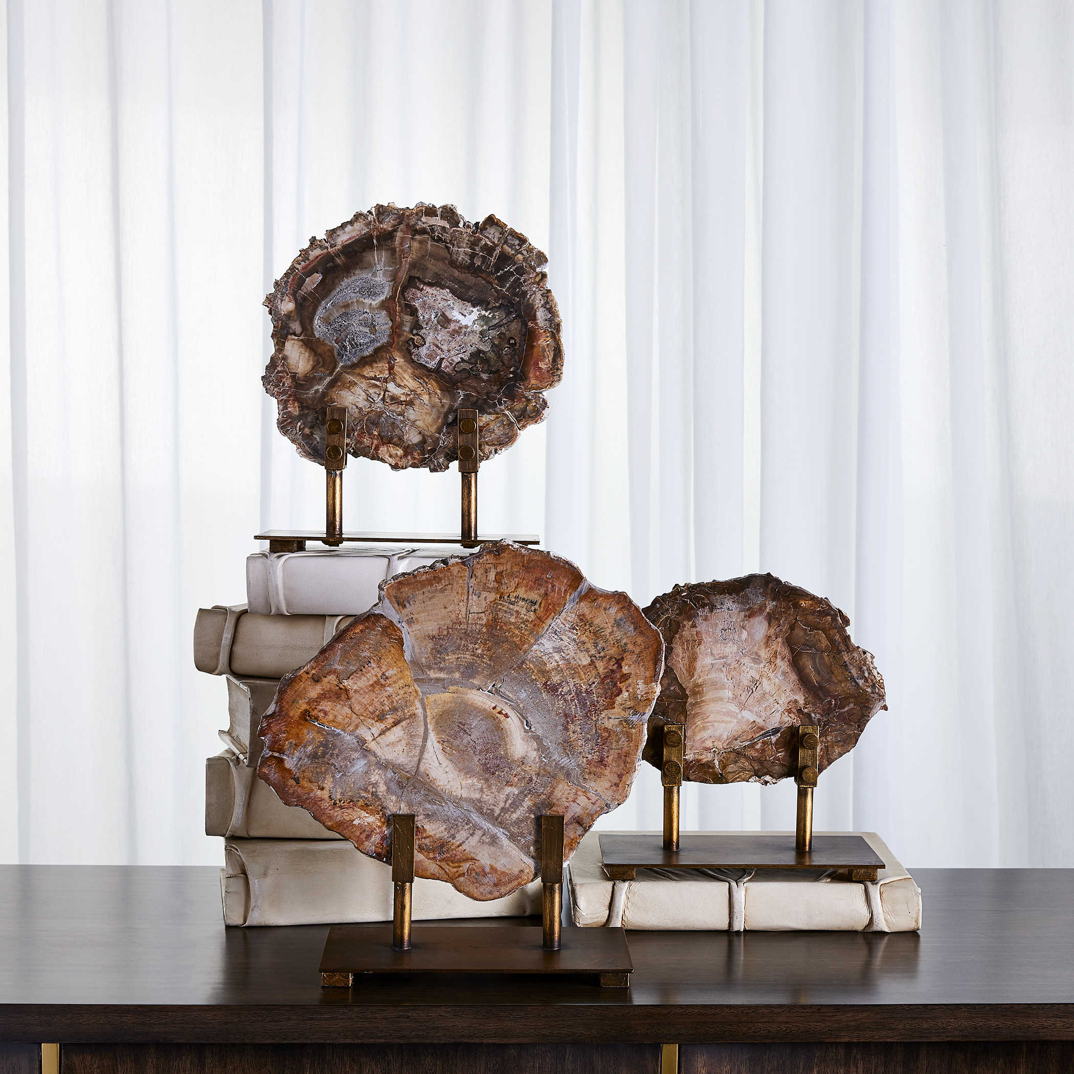 Petrified Wood Sculpture by Uttermost