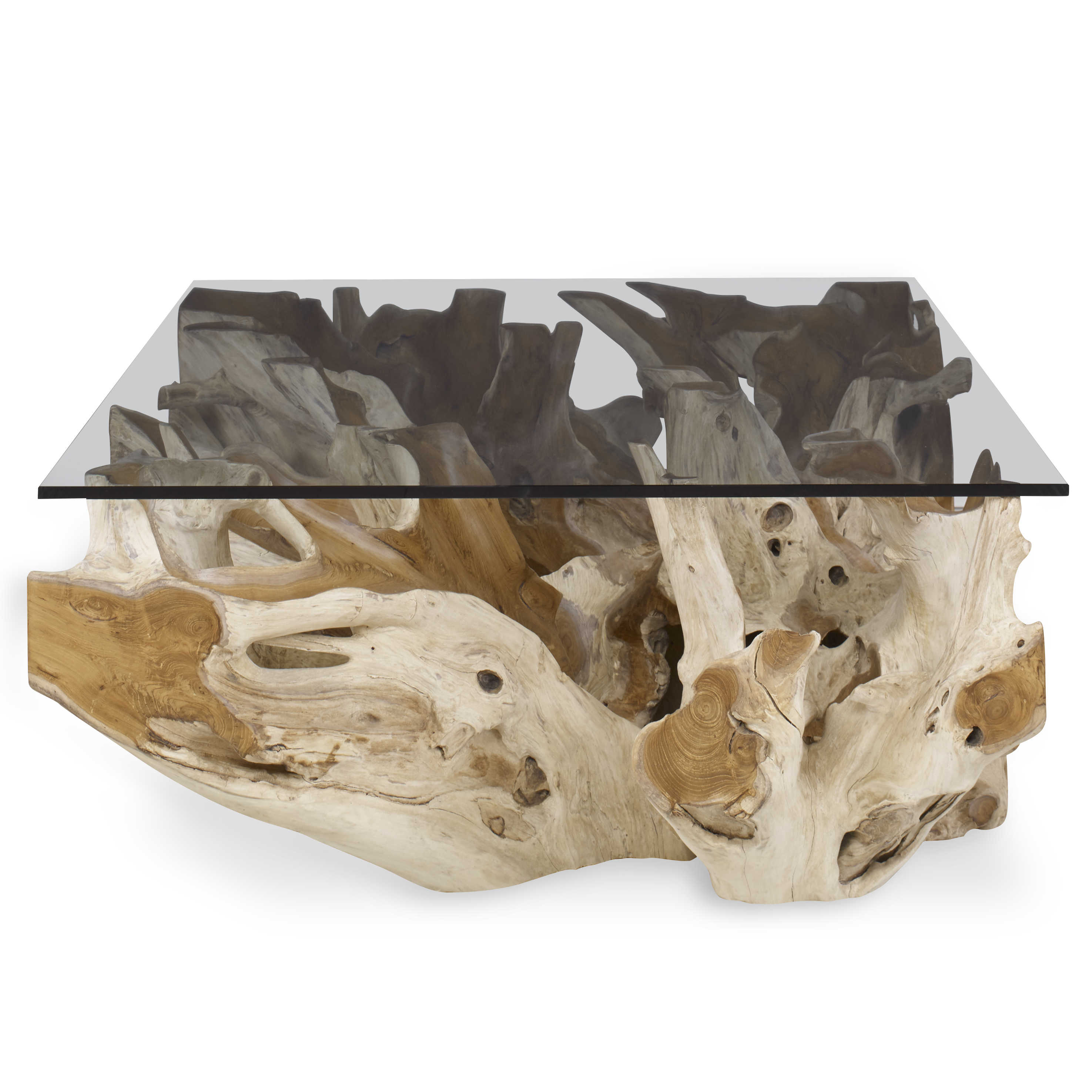 Center Root Coffee Table - Rectangle by Uttermost