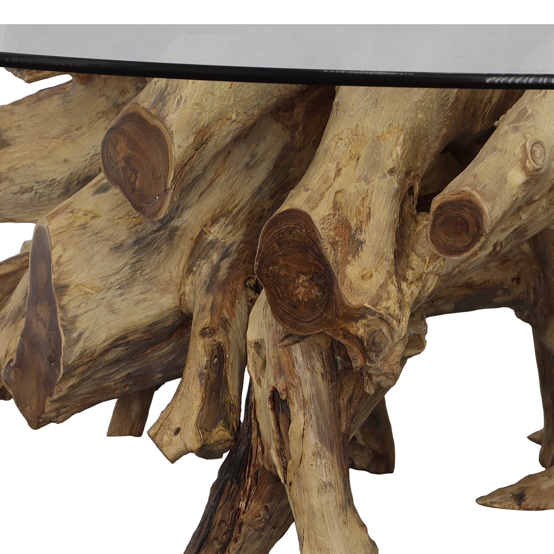 Center Root Coffee Table - Round - Glass by Uttermost