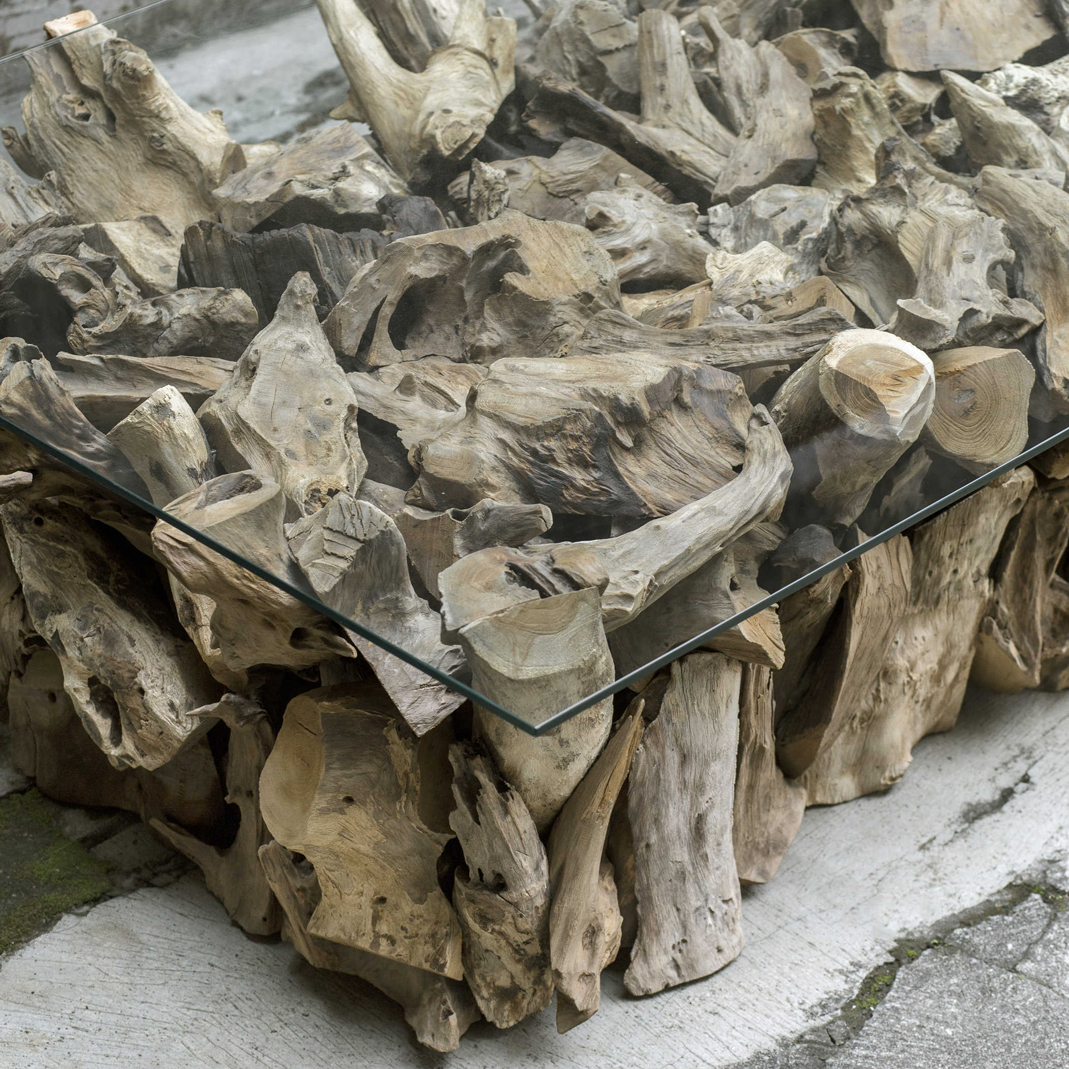 Teak Root Coffee Table by Uttermost