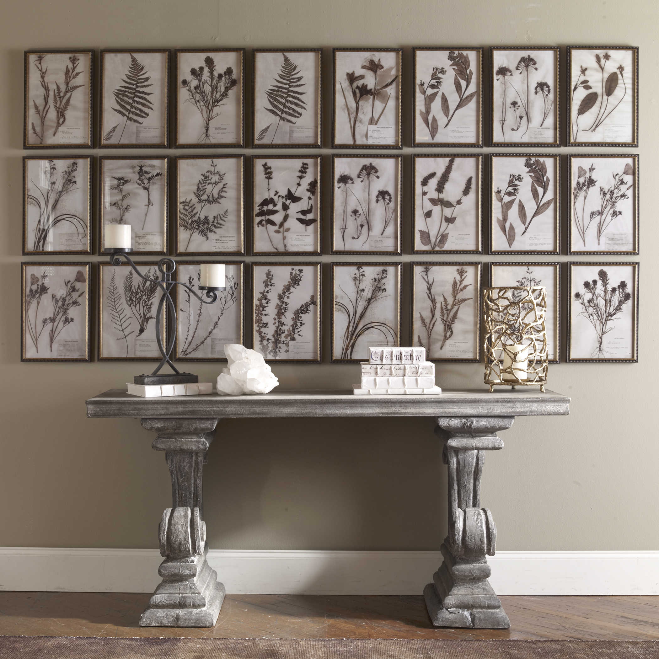 Botany Framed Prints - Set of 18 by Uttermost