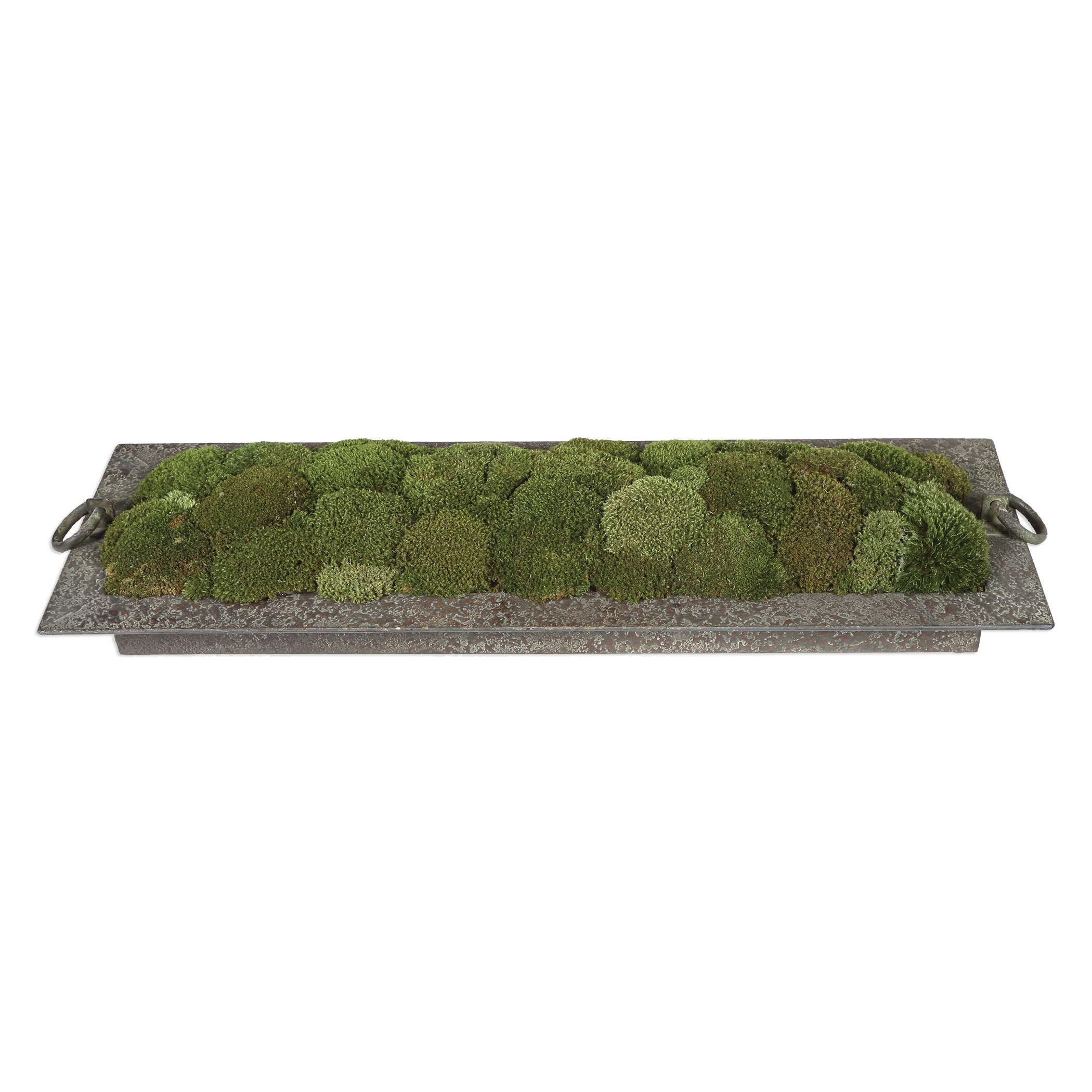 Heath Preserved Moss Tray by Uttermost