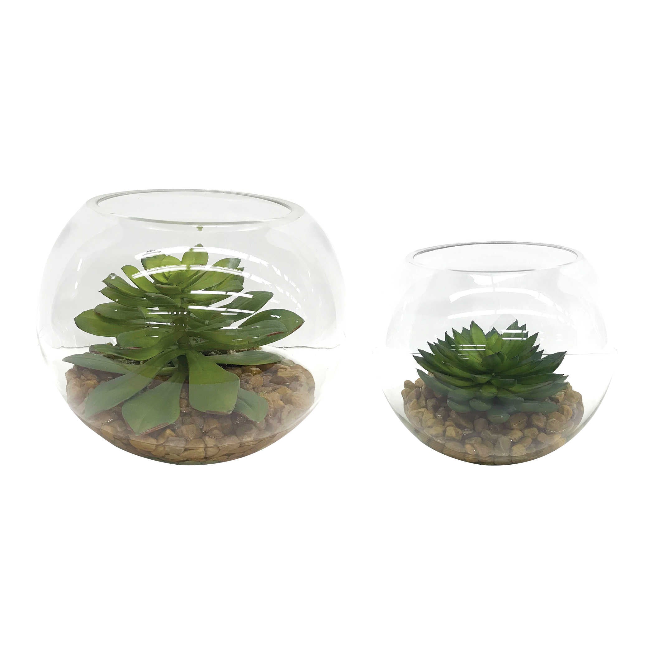 Eloy Terrariums - Set of 2 by Uttermost