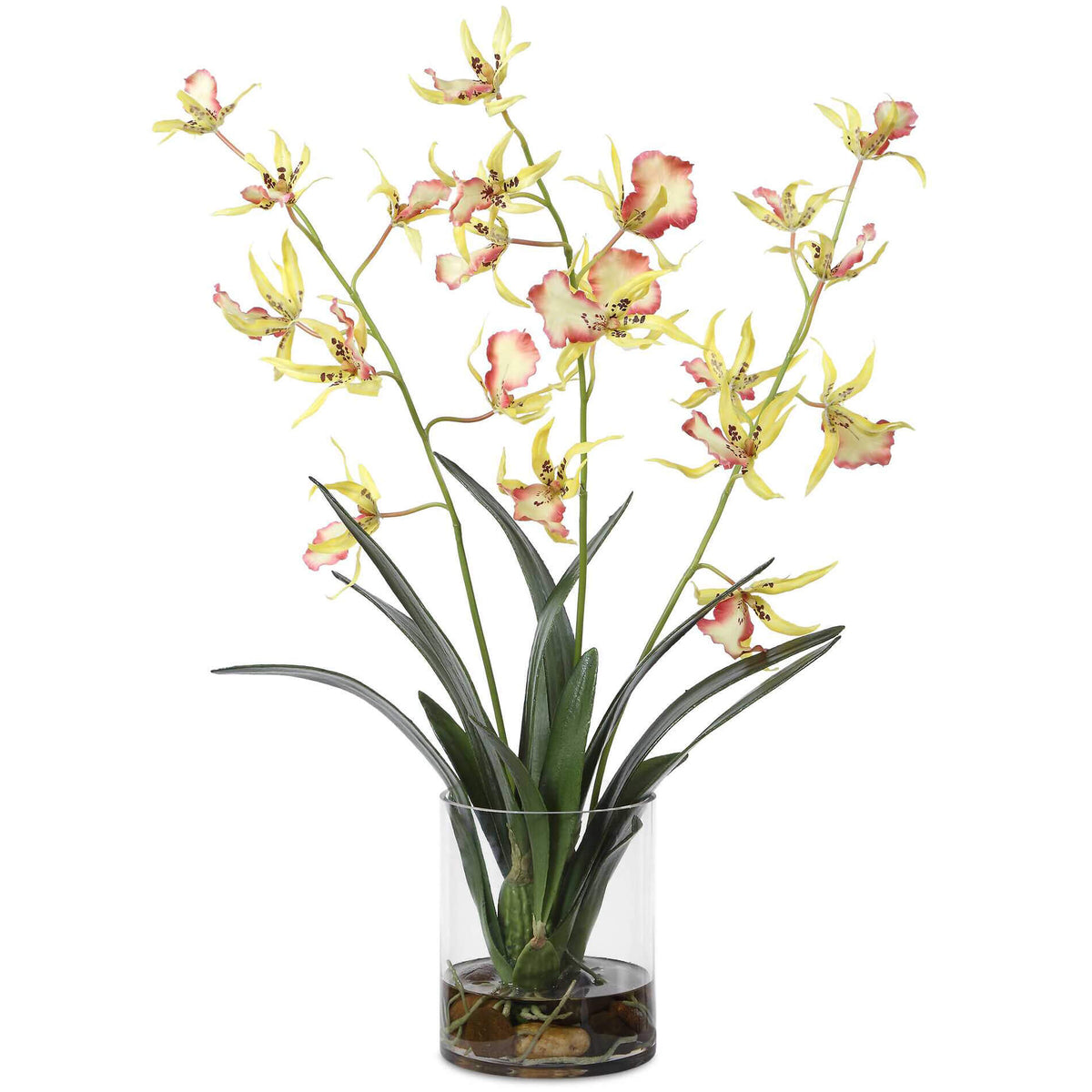 Spider Orchid In Glass Vase Uttermost