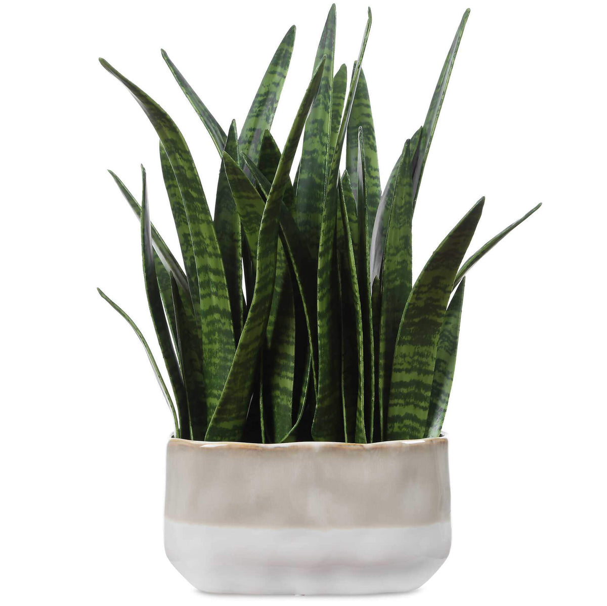 Sansera Snake Accent Plant Uttermost