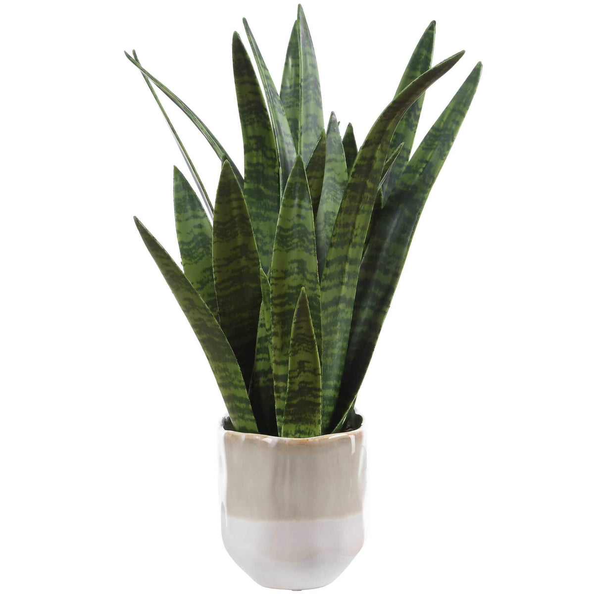 Sansera Snake Accent Plant Uttermost