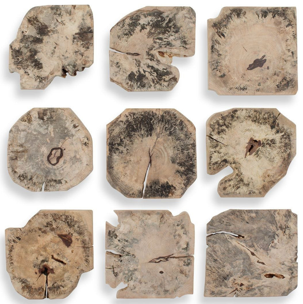 Bahati Wood Bleached Wall Decor - Set of 9 by Uttermost