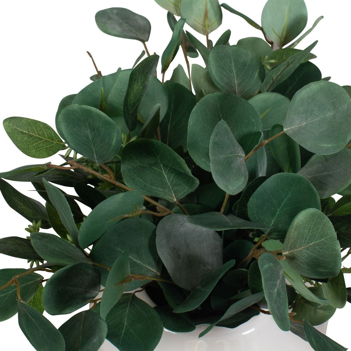 Essence Eucalyptus Accent and Vase by Uttermost