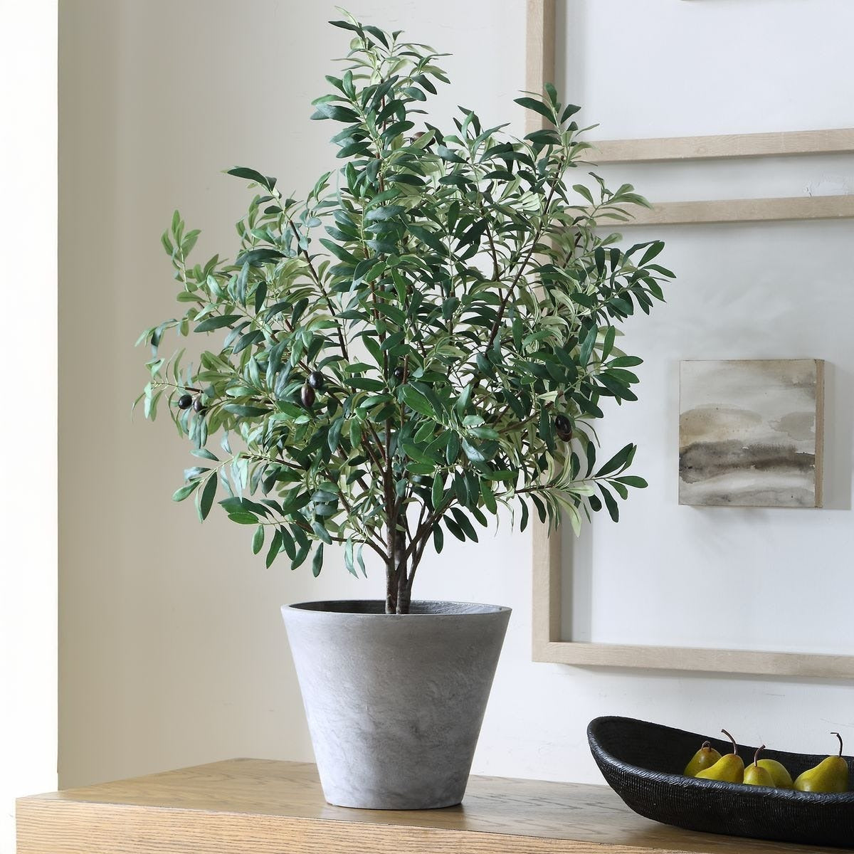 Marisol Potted Olive Plant by Uttermost