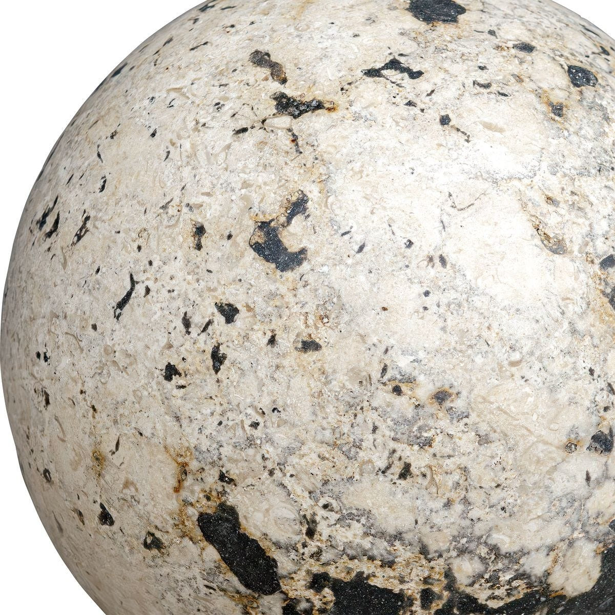 Nouveau Coral Stone Decorative Spheres - Set of 2 by Uttermost