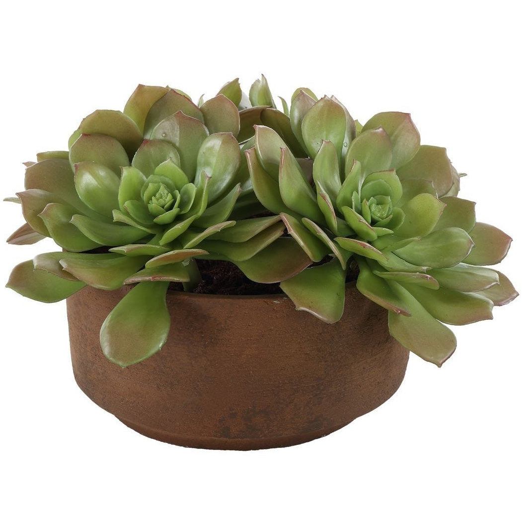 Sable Succulent Accent In Pot by Uttermost
