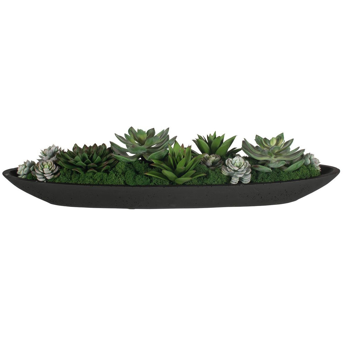Verde Succulent Centerpiece In Bowl by Uttermost