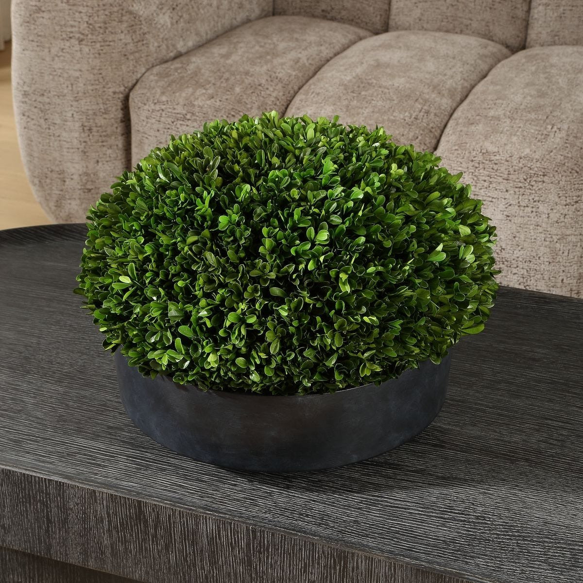 Verdana Boxwood Centerpiece In Bowl by Uttermost