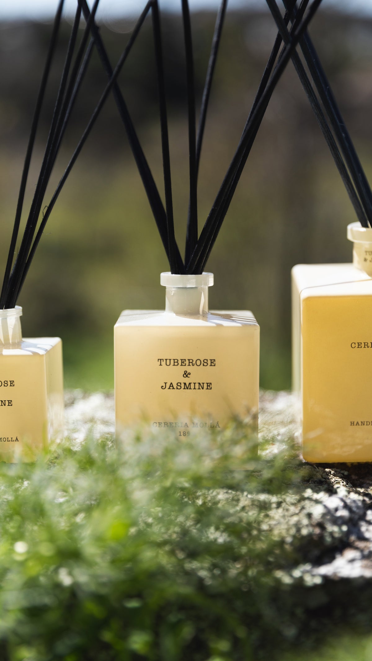 Tuberose-Jasmine Decorum Interiors