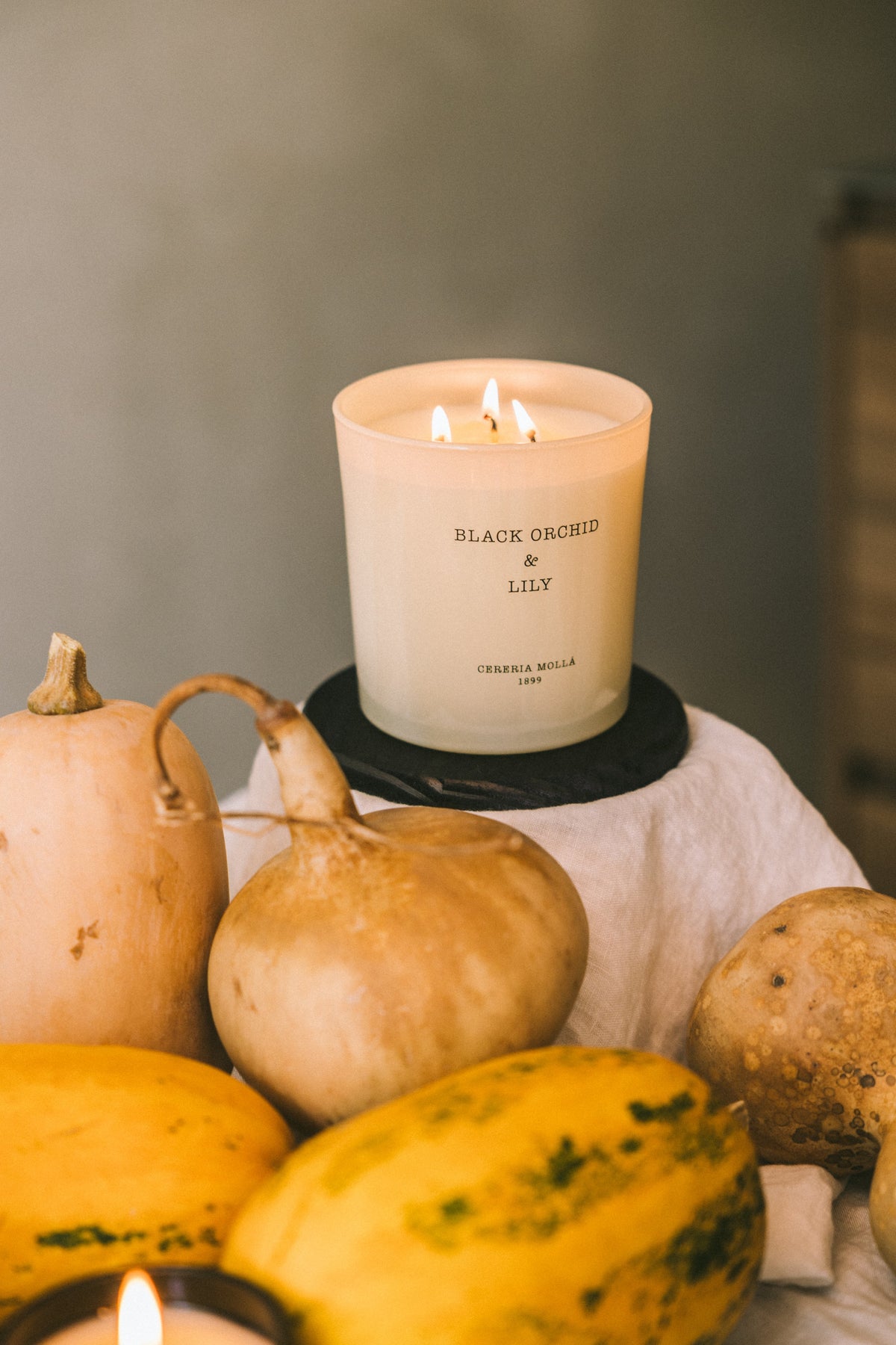 Black-Orchid-Lily Decorum Interiors
