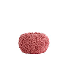 Phylia Coral Vase Deco Light & Living