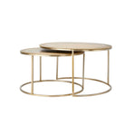 Talca Light Gold Coffee Table - Set of Two Light & Living