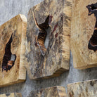 Bahati Wood Wall Décor In Natural - Set of 9 by Uttermost