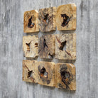Bahati Wood Wall Décor In Natural - Set of 9 by Uttermost