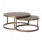 Bloomville Brass & Faux Shagreen Coffee Tables (Set of 2) by Richmond Interiors