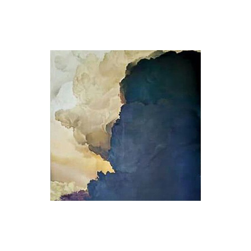 Detaglio Wall Art by Tommy Franks