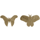 Butterfly Pair by Mindy Brownes