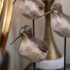 Bird (2) by Mindy Brownes