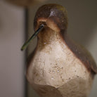 Bird (2) by Mindy Brownes