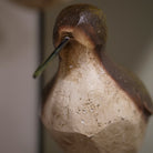 Bird (3) by Mindy Brownes