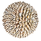 Small Shell Ball Decoration by Kensington