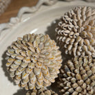 Small Shell Ball Decoration by Kensington