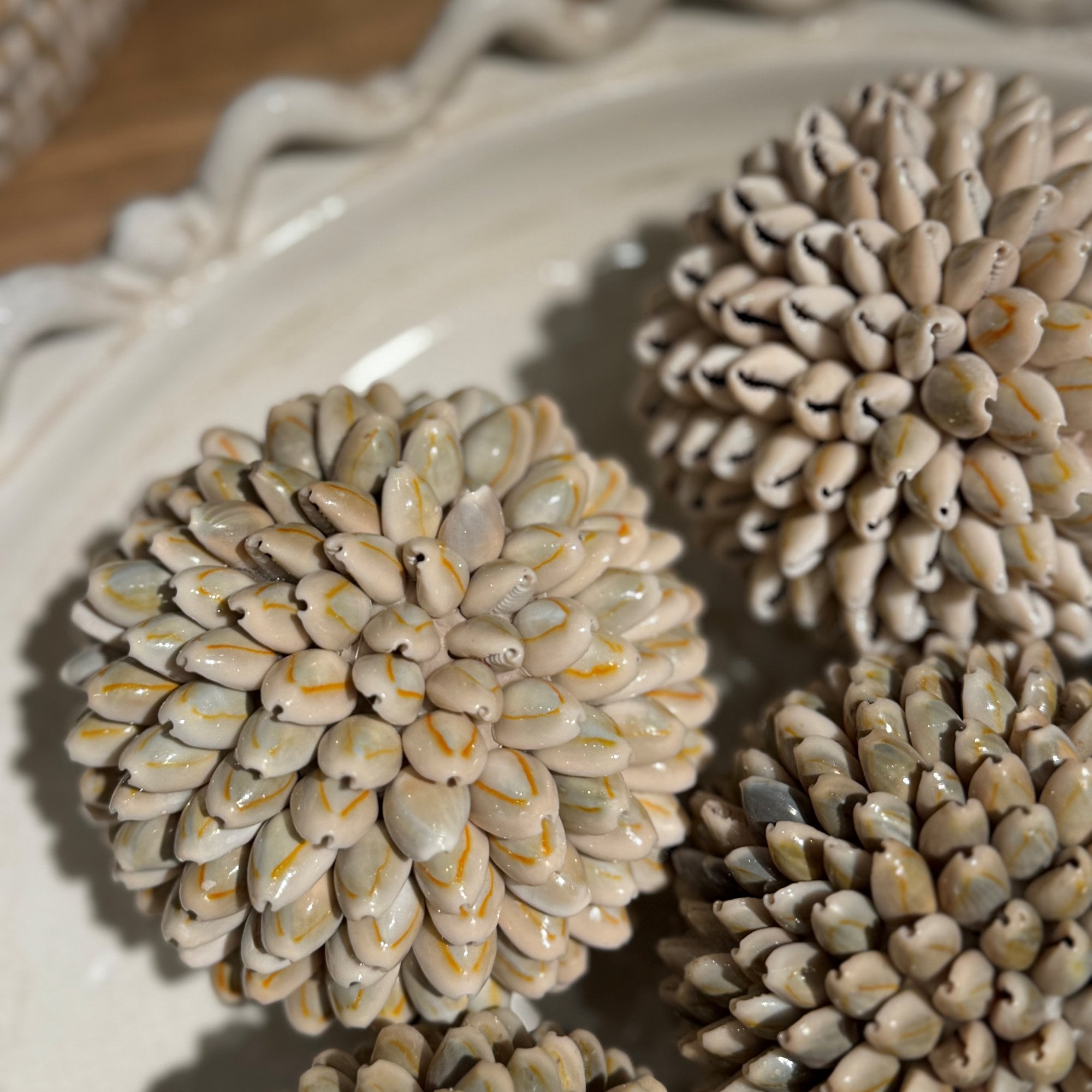 Small Shell Ball Decoration by Kensington