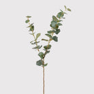 Natural Eucalyptus Spray by Kensington