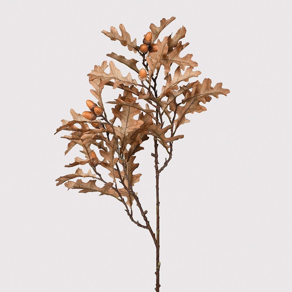 Oak Leaves with Acorns Stem by Kensington