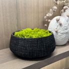 Small Low Black Yakisugi Textured Pot by Kensington