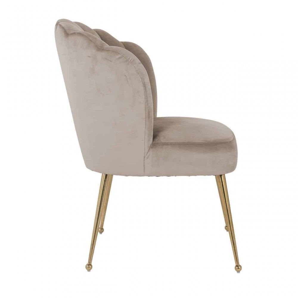 Pippa Khaki Velvet Gold Chair by Richmond Interiors