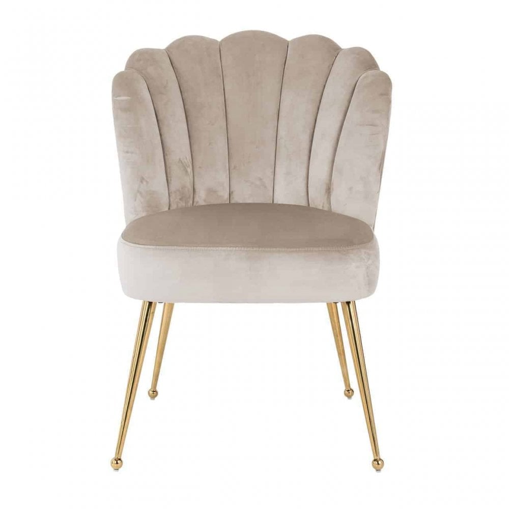 Pippa Khaki Velvet Gold Chair by Richmond Interiors