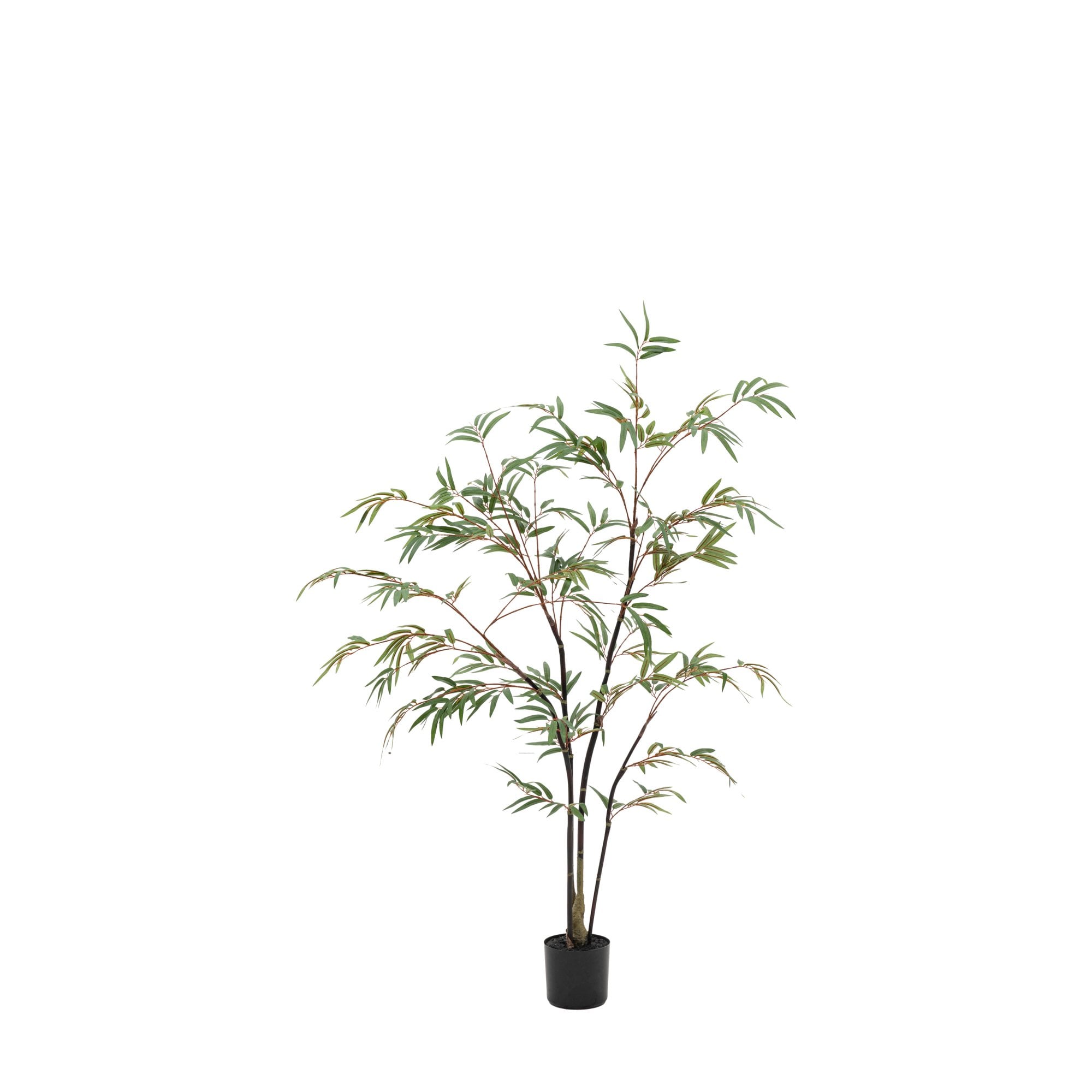 Potted Bamboo Tree 4ft by Abode