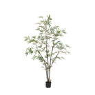 Potted Bamboo Tree 5ft by Abode