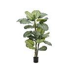 Potted Calathea Leaf Tree 4ft by Abode