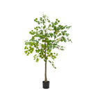 Potted Eucalyptus Tree by Abode