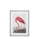 Wading Flamingo Framed Art by Abode
