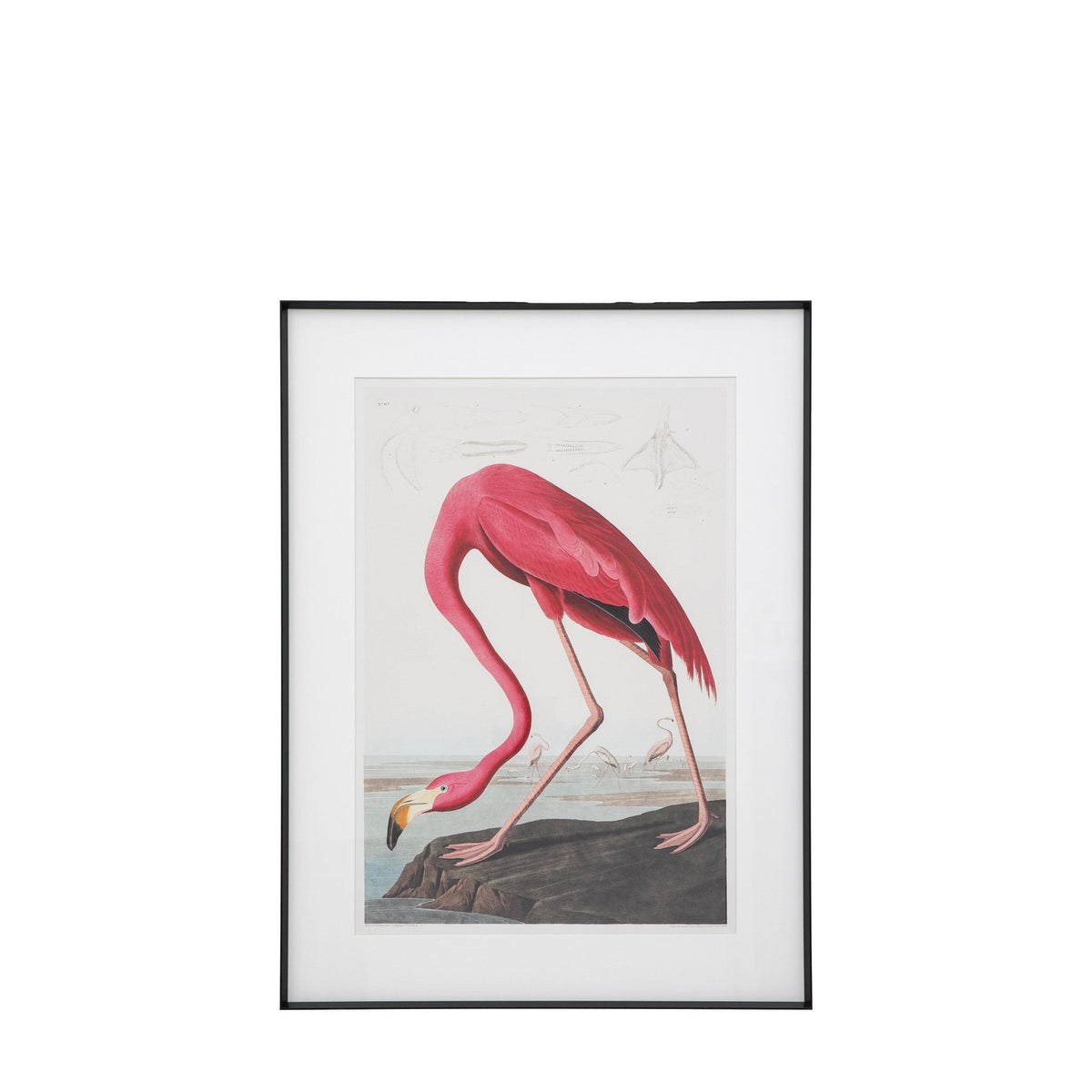 Wading Flamingo Framed Art by Abode