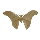 Butterfly Pair by Mindy Brownes