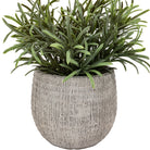 Potted Plant Ceramic Scratch Pot Rosemary (Set of 2) by Abode
