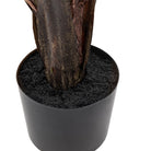 Potted Travellers Palm Tree 5ft by Abode