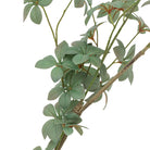 Potted Rhodoleia 5ft Tree by Abode