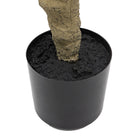 Potted Rhodoleia 5ft Tree by Abode